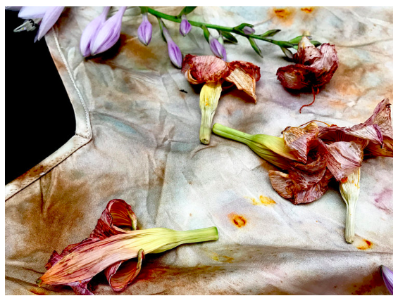 screen shot 2019-01-22 at 6.33.21 pm